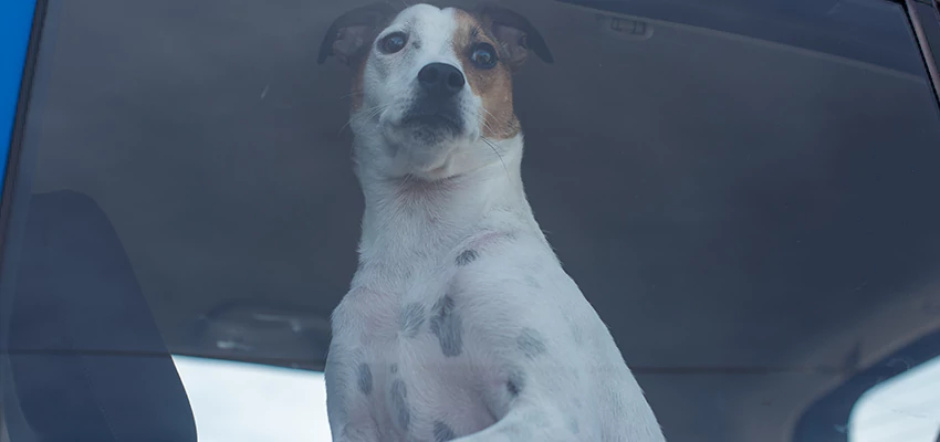 Car Lockout Solutions in Glendale, California